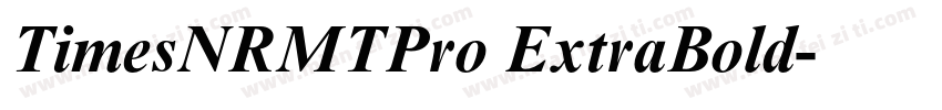 TimesNRMTPro ExtraBold字体转换